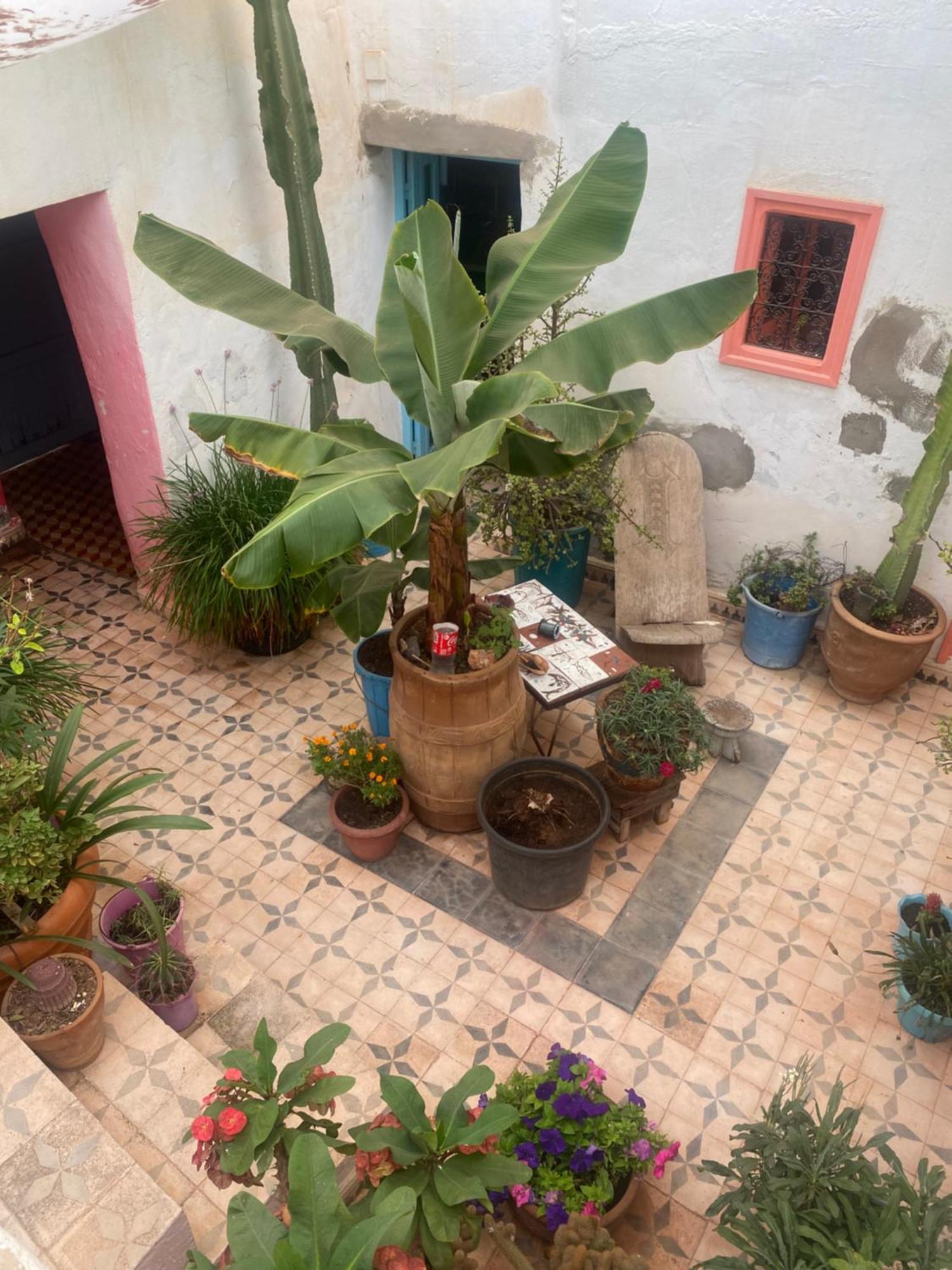 Séjour chez l'habitant Casa Tradicional Marroqui *